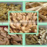 Fresh Air Dried Ginger thumbnail-1