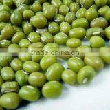 High Quality Dried Green Mung Bean From Vietnam for Sale thumbnail-1