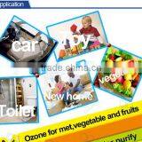 Easy Operation Corona Discharge Ozone Equippment for Home Water Purification thumbnail-3