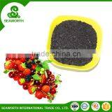 Economic npk compound fertilizer with competitive price