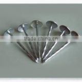 Factory directly supply Galvanized Roofing Nails (Umbrella Head)