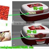 Wq-42 Mini Incubator/small Incubator/automatic Mini Incubator for Sale thumbnail-1
