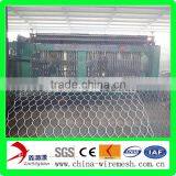 Galfan Galvanized Hexagonal Netting/Hexagonal Mesh thumbnail-1
