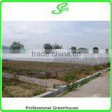 Hot Selling Commercial Used Greenhouse for Sale thumbnail-3