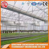 China Supplier Multi-span Plastic Film Agricultural Greenhouse for Sale thumbnail-6