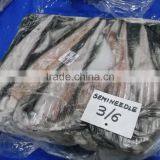 Semi Needle - Doryteuthis Sibogae thumbnail-2