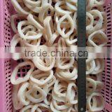 Frozen Squid Ring With Chemical Treated and Skin off thumbnail-2