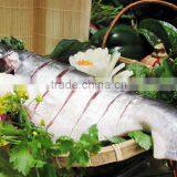 Frozen Pangasius Steak/pangasius/basa Fish/dory Fish/cat Fish/catfish/mackerel/tilapia/sardine/hilsha/tuna thumbnail-1