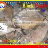 FROZEN W/R BLACK POMFRET thumbnail-1