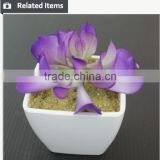Hot Sale Artificial Potted Plants Chinese Succulent Plants thumbnail-6