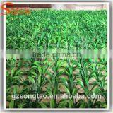 Artificial pe Grass Factory Wholesale Plastic Artificial Grass Plastic Artificial pe Grass thumbnail-2