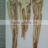 Danggui thumbnail-1