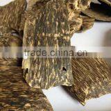 Vietnamese Super Gaharu thumbnail-1