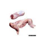 Sell Frozen Skinless And Bone-In Whole Rabbit Meat