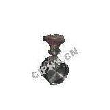 Casting Steel Butterfly Valve