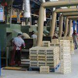 Jiangxi Jingjiu Power Science & Technology Co., Ltd. company overview - view 3 thumbnail