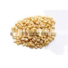 Byloo Low Moq Wholesale China Cheap Bulk Factory Price 950 Counts Kernel Pine Nuts Kernel Without Shell thumbnail-4