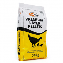 100kg 50kg Polypropylene Rice Corn pp Woven Bag Sack for Packaging Export to Europe America Africa Togo thumbnail-1