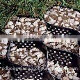 Professional Hdpe Geocell Made In China thumbnail-1