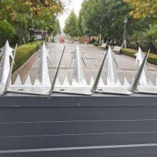 High Security Fence Spikes Wall Spikes thumbnail-5