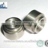 Professional Factory Stainless Stain Grade 10.8 Acaptive Nuts