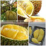 TASTY - FROZEN DURIAN MEAT - PULP WITH SEED