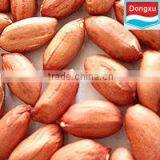 high quality red skin peanut kernels