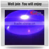 Animal Toy thumbnail-2