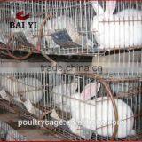 BAIYI Tiers and Cheap Poultry Farming Equipment For Rabbit (rabbit Cage) thumbnail-2