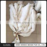 Gold Supplier China The White Fox thumbnail-2