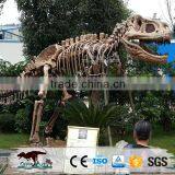 OA-DS-K16062401 High Quality Dinosaur Skeleton Model thumbnail-6