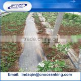 China manufacture weed control woven fabric