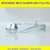 Low Price 9gauge Electric Galvanized Smooth Shank Umbrella Head Roofing Iron Nail thumbnail-1