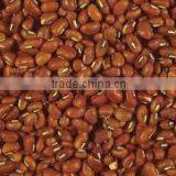COW PEAS thumbnail-1
