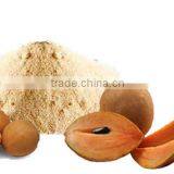 Spray Dried Chikoo Powder