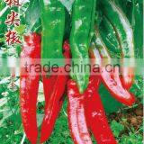 Big Sharp Sweet Horn Pepper-Pepper Seeds for Planting thumbnail-1