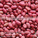 Shandong Big Size Blanched Red Skin Peanut Kernels