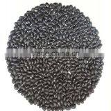 JSX fresh style black bean affordabl price high quality small black bean