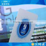 Custom Low Cost Plastic Irregular Tags Card