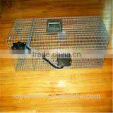 Fishing Crab Trap ;lobster Trap in Cheap Price