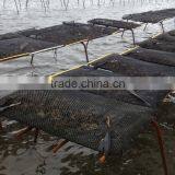 HDPE oyster farming floating oyster basket