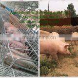 Concret Pig Slatted Floor