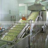 Vegetables Washing Processing Line Machine