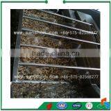 Advanced Fruit & Vegetable Industrial Washing Machine thumbnail-6
