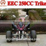 CE Approved 250cc Eec Trike Atv With Aluminum Wheel thumbnail-3