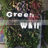 One Whole Set Green Wall for Indoor and Outdoor With Irrigation System thumbnail-1