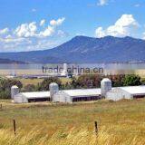 Poultry Feeding System Automatic Chicken House thumbnail-2