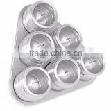 High Quality Useful Spice Stainless Steel Magnetic Cruet Condiments Spice Rack