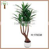 Green Artificial Yucca Elephantipes Tree for Indoor Decoration thumbnail-1