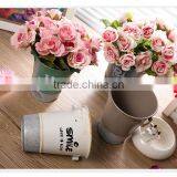 2016 Latest Colorful Pringting Mini Flower Pot / Metal Bucket For Kids thumbnail-2